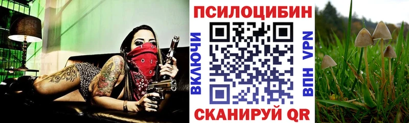 Псилоцибиновые грибы Magic Shrooms  Купить закладки  Каменск-Уральский 