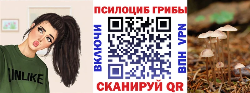 Галлюциногенные грибы мухоморы Каменск-Уральский
